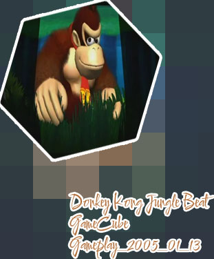 Donkey kong gamecube