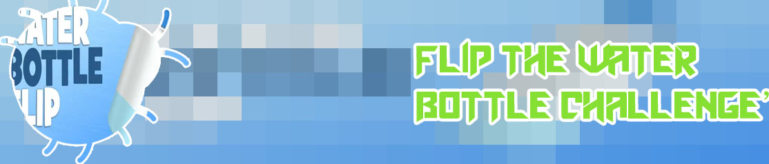 Game flip bottle